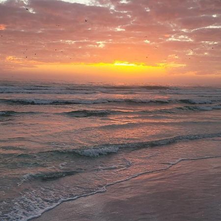 Siesta Key Condo - On The Water ! Ngoại thất bức ảnh