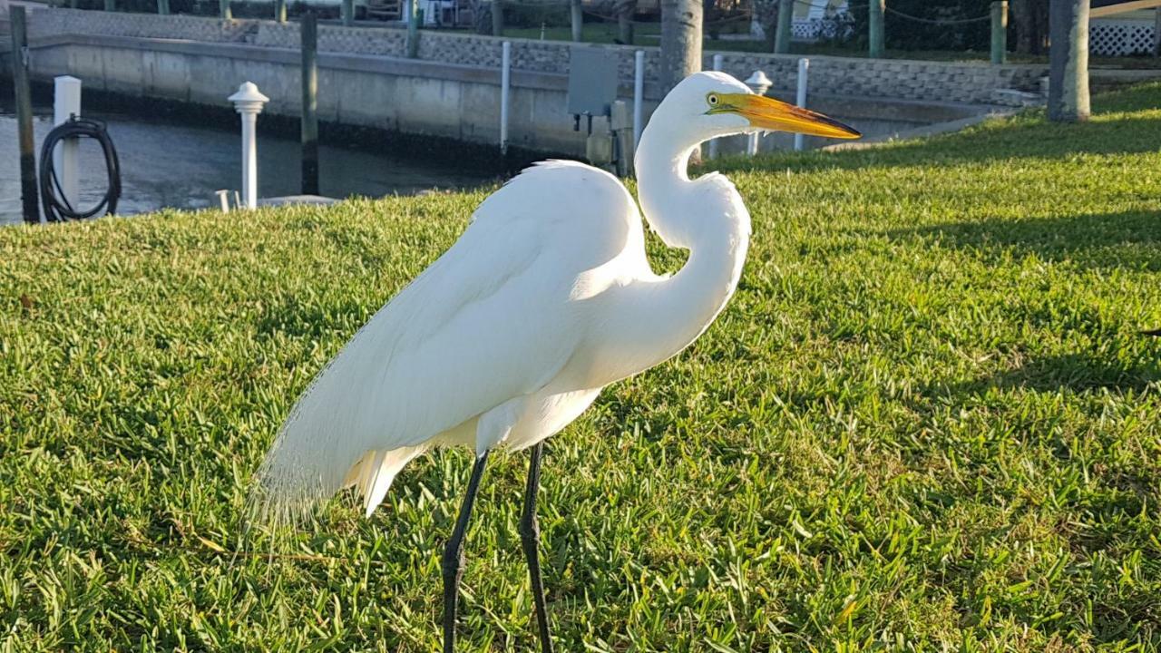 Siesta Key Condo - On The Water ! Ngoại thất bức ảnh